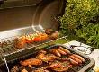 Questionnaire: What's Your Barbecue Style?